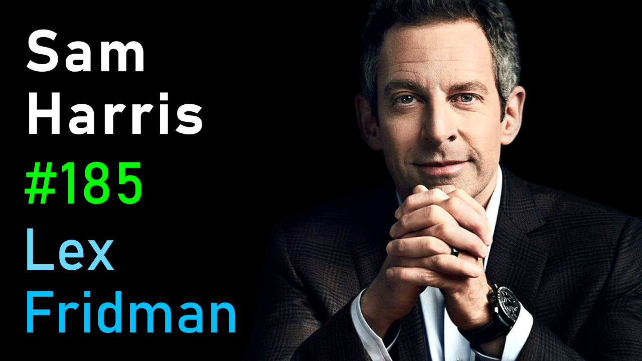 185 - Sam Harris: Consciousness, Free Will, Psychedelics, AI, UFOs, and  Meaning